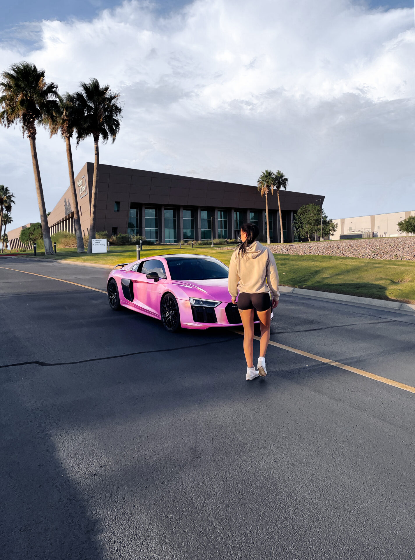 Pink Audi R8